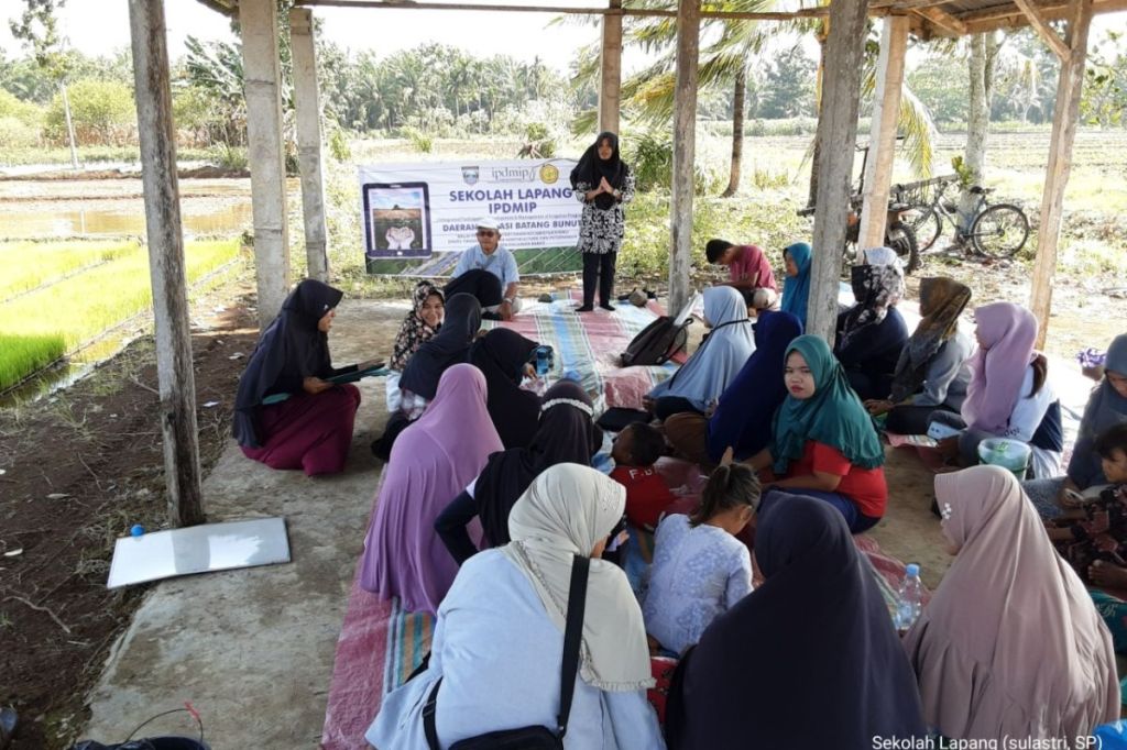 Pemkab Pasaman Barat berdayakan penyuluh pertanian tingkatkan&nbsp;produksi