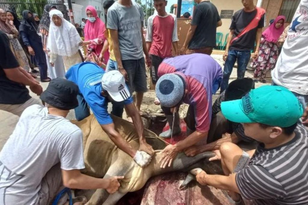 Pemkot Bukittinggi gelar Sosialisasi ASUH pemotongan hewan&nbsp;kurban