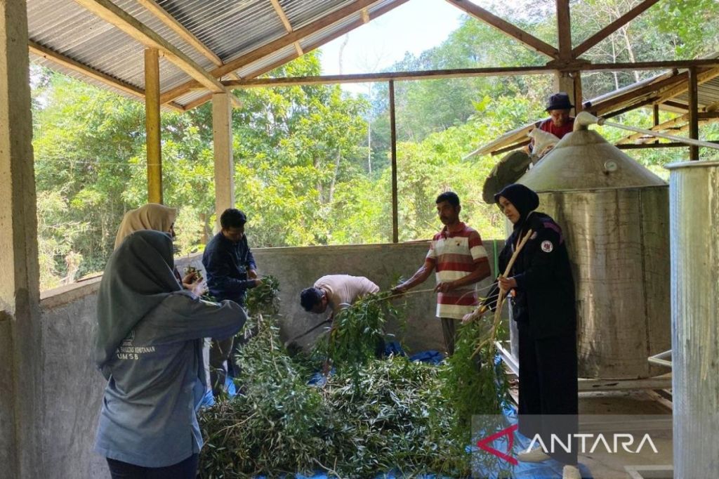Merajut asa dari pinggiran hutan Tanjung Bonai Aur di&nbsp;Sumbar