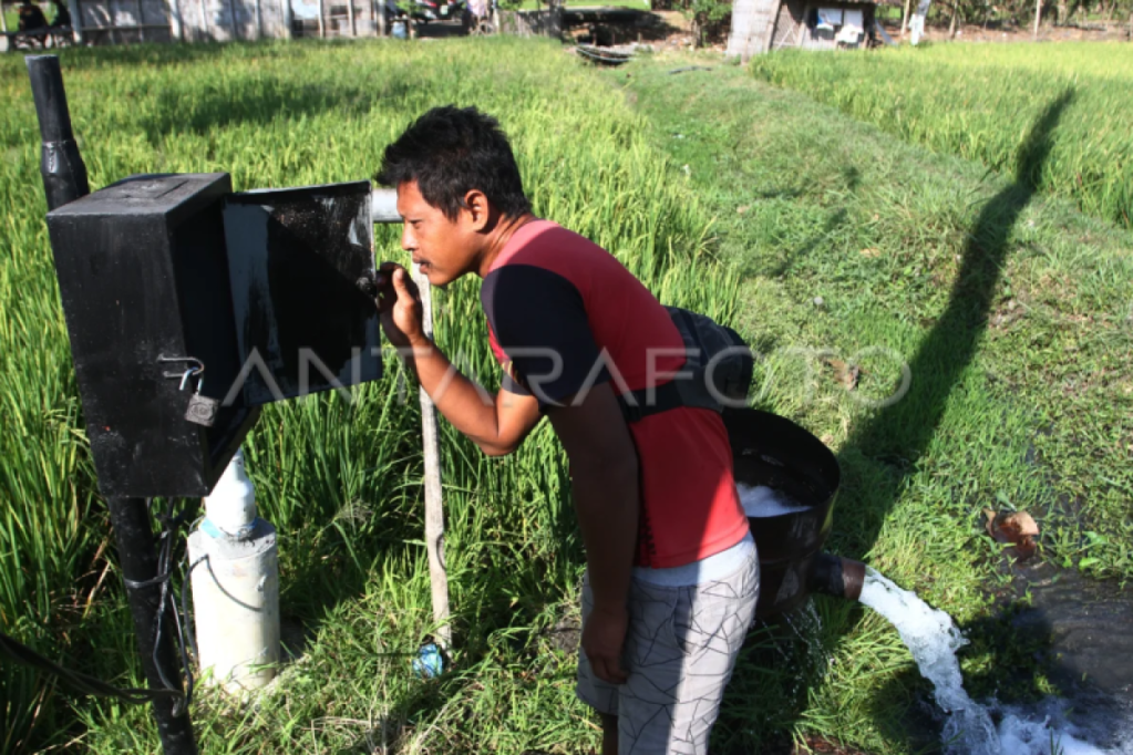 Listrik masuk sawah di&nbsp;Ngawi