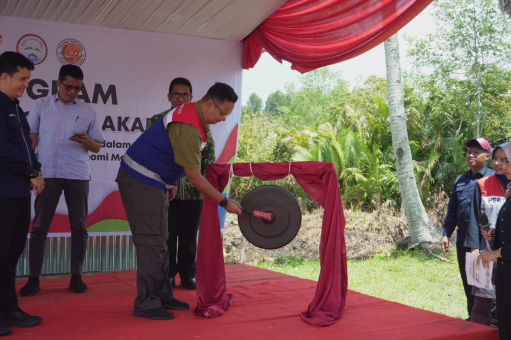 Digitalisasi pengelolaan konservasi penyu melalui E-&nbsp;Katuang