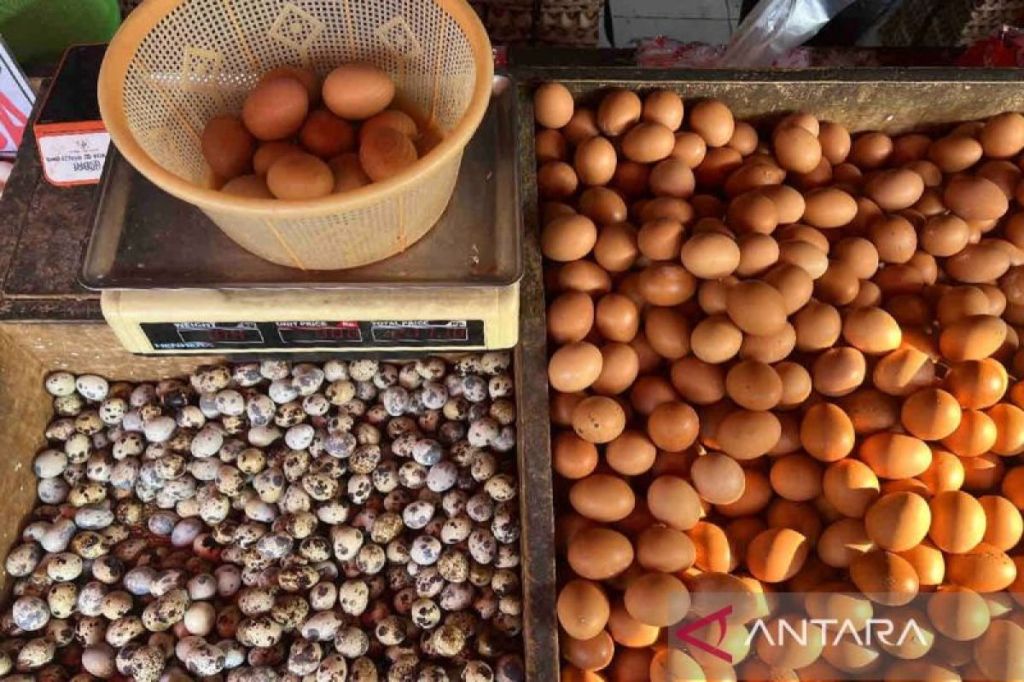 Harga pangan hari ini: Telur ayam ras naik jadi Rp28.560 per&nbsp;kg