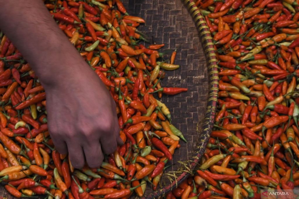 Harga pangan hari ini, cabai rawit merah Rp46.310 per&nbsp;kg
