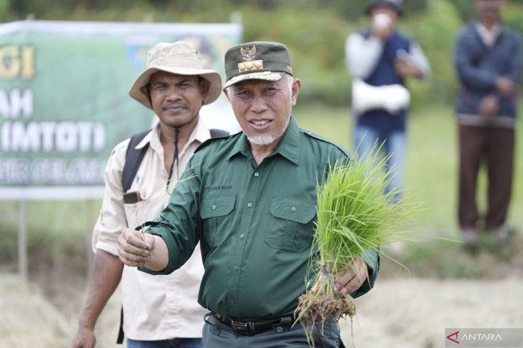 Gubernur: Budidaya padi sistem MTOT sangat menguntungkan&nbsp;petani